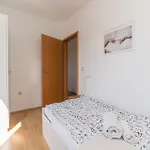 Apartamento In With Wifi *