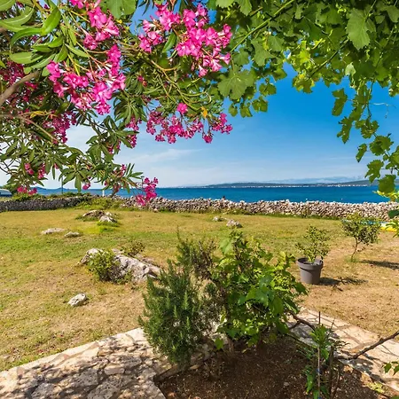 アパート Stunning In